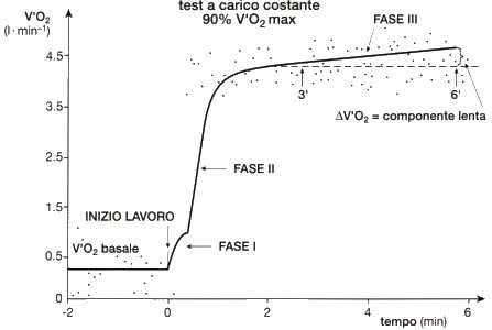 Componente lenta VO2 - Slow Component VO2