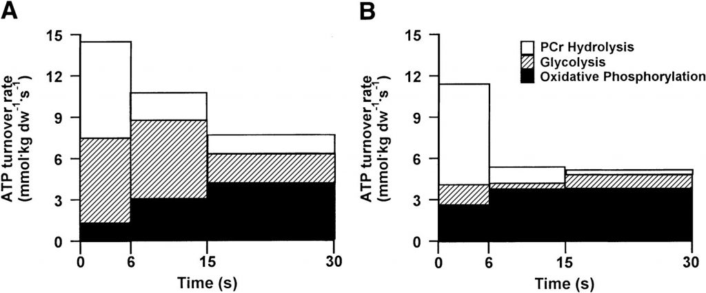 ATP turnover rates from PCr hydrolysis, glycolysis, and oxidative phosphorylation during each time interval in the first (A) and third (B) bouts of maximal isokinetic cycling.