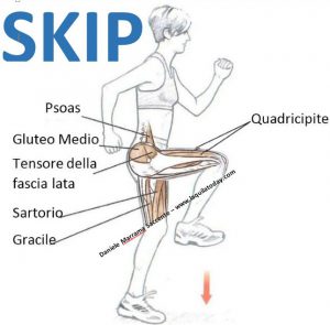 Azione dello skip e muscoli coinvolti